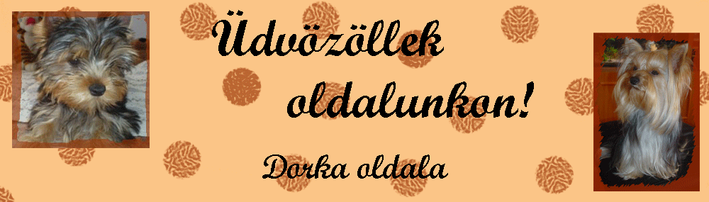 dorkayorki